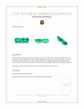 4.67 Ct.Tw.Total Carat Weight Emerald Pair from Ethiopia Appraisal