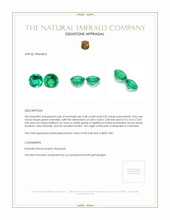 0.71 Ct.Tw.Total Carat Weight Emerald Pair from Colombia Appraisal