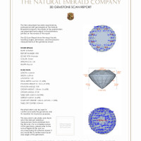 Jewelry 3 D Scan Report