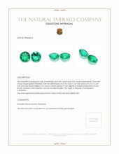 0.66 Ct.Tw.Total Carat Weight Emerald Pair from Colombia Appraisal
