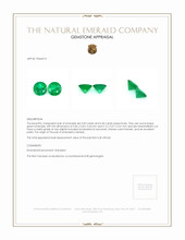 0.80 Ct.Tw.Total Carat Weight Emerald Pair from Zambia Appraisal