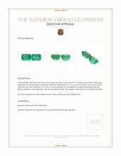 1.58 Ct.Tw.Total Carat Weight Emerald Pair from Zambia Appraisal
