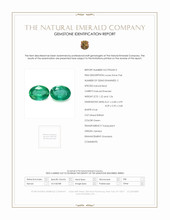Jewelry Scan Report