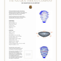 Jewelry 3 D Scan Report