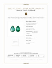 Jewelry Scan Report