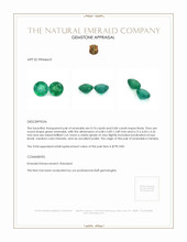 1.58 Ct.Tw.Total Carat Weight Emerald Pair from Zambia Appraisal