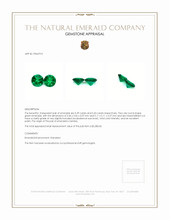 0.82 Ct.Tw.Total Carat Weight Emerald Pair from Zambia Appraisal