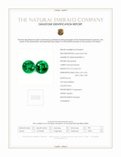 Jewelry Scan Report