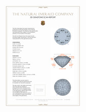 Jewelry 3 D Scan Report