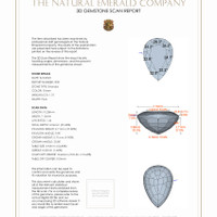 Jewelry 3 D Scan Report