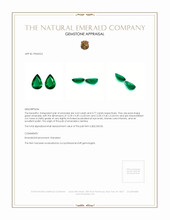 8.40 Ct.Tw.Total Carat Weight Emerald Pair from Zambia Appraisal