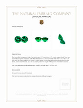 3.50 Ct.Tw.Total Carat Weight Emerald Pair from Zambia Appraisal