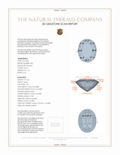 Jewelry 3 D Scan Report