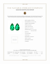 Jewelry Scan Report