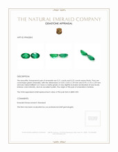 0.43 Ct.Tw.Total Carat Weight Emerald Pair from Zambia Appraisal