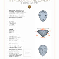 Jewelry 3 D Scan Report