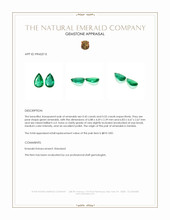 0.98 Ct.Tw.Total Carat Weight Emerald Pair from Zambia Appraisal