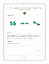 0.98 Ct.Tw.Total Carat Weight Emerald Pair from Zambia Appraisal