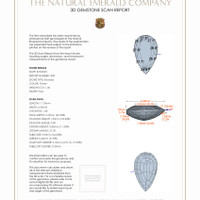 Jewelry 3 D Scan Report