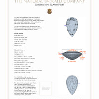 Jewelry 3 D Scan Report