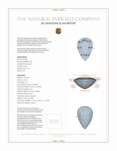 Jewelry 3 D Scan Report