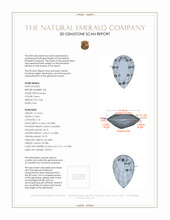 Jewelry 3 D Scan Report