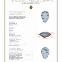 Jewelry 3 D Scan Report