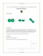1.60 Ct.Tw.Total Carat Weight Emerald Pair from Zambia Appraisal