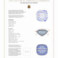 Jewelry 3 D Scan Report