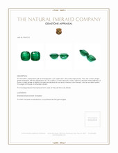 2.65 Ct.Tw.Total Carat Weight Emerald Pair from Brazil Appraisal