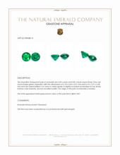 1.67 Ct.Tw.Total Carat Weight Emerald Pair from Zambia Appraisal