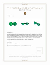 1.67 Ct.Tw.Total Carat Weight Emerald Pair from Zambia Appraisal