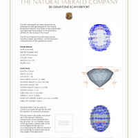 Jewelry 3 D Scan Report