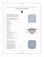 Jewelry 3 D Scan Report