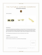 2.94 Ct.Tw.Total Carat Weight Yellow Sapphire Pair from Ceylon (Sri Lanka) Appraisal