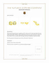 1.27 Ct.Tw.Total Carat Weight Yellow Sapphire Pair from Ceylon (Sri Lanka) Appraisal