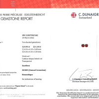 Jewelry Scan Report