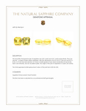 8.03 Ct.Tw.Total Carat Weight Yellow Sapphire Pair from Ceylon (Sri Lanka) Appraisal