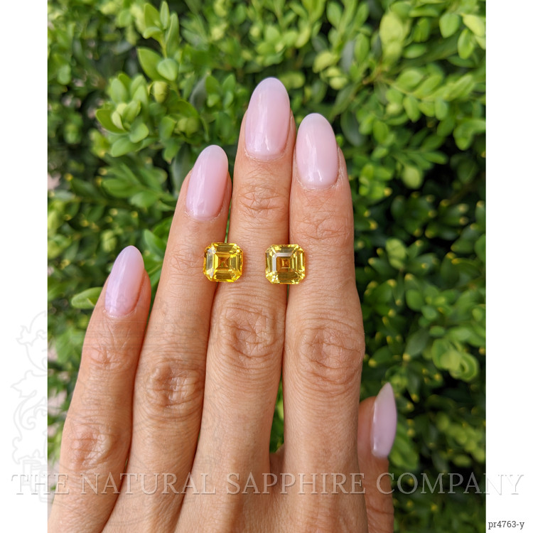 8.03 Ct.Tw. Yellow Sapphire Pair from Ceylon (Sri Lanka)