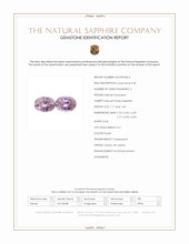 Jewelry Scan Report