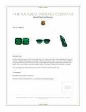 4.97 Ct.Tw.Total Carat Weight Emerald Pair from Zambia Appraisal