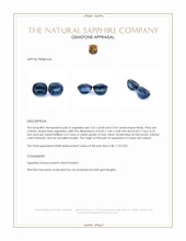 7.27 Ct.Tw.Total Carat Weight Blue Sapphire Pair from Ceylon (Sri Lanka) Appraisal