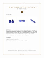 1.12 Ct.Tw.Total Carat Weight Blue Sapphire Pair from Ceylon (Sri Lanka) Appraisal