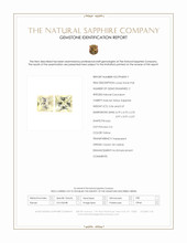 Jewelry Scan Report