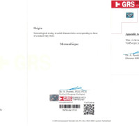 12.10 Ct.Tw.Total Carat Weight Ruby Pair from Mozambique Scan Report