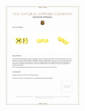 0.77&nbsp;Ct.Tw.Total Carat Weight Yellow Sapphire Pair from Ceylon (Sri Lanka) Appraisal