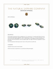 2.42 Ct.Tw.Total Carat Weight Bluish Green Sapphire Pair from Ceylon (Sri Lanka) Appraisal
