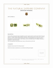 0.48 Ct.Tw.Total Carat Weight Yellowish Green Sapphire Pair from Ceylon (Sri Lanka) Appraisal