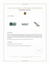 0.46 Ct.Tw.Total Carat Weight Bluish Green Sapphire Pair from Ceylon (Sri Lanka) Appraisal
