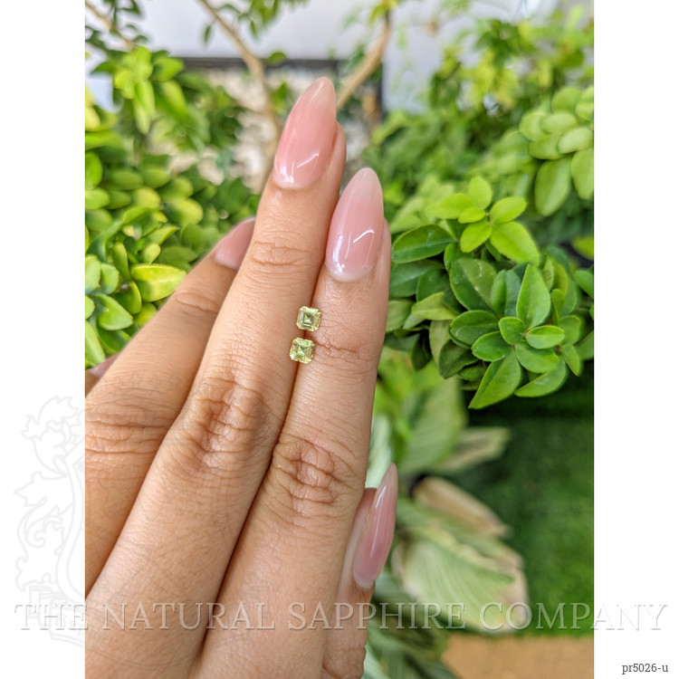 0.53 Ct.Tw. Greenish Yellow Sapphire Pair from Ceylon (Sri Lanka)